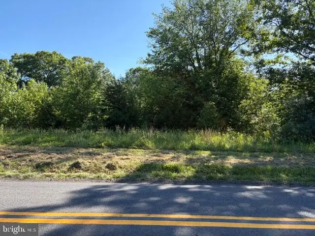 0 Gold Dale Rd, Locust Grove, VA 22508 - #2