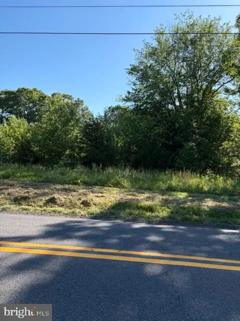 0 Gold Dale Rd, Locust Grove, VA 22508 - #3