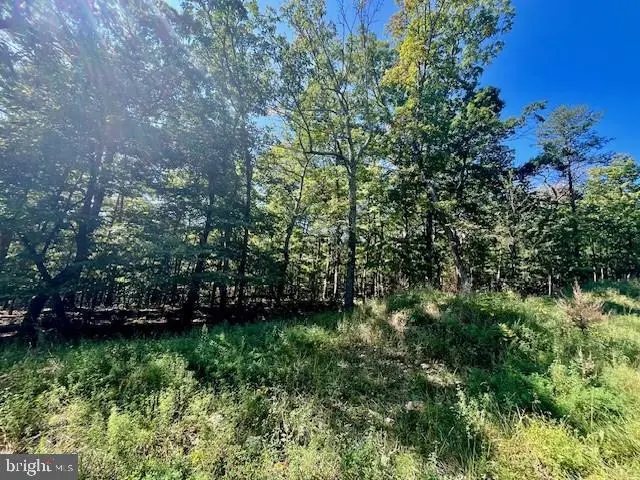 Cardinal Dr., Luray, VA 22835 - #3