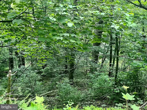 Greenway Lane, LURAY, VA 22835