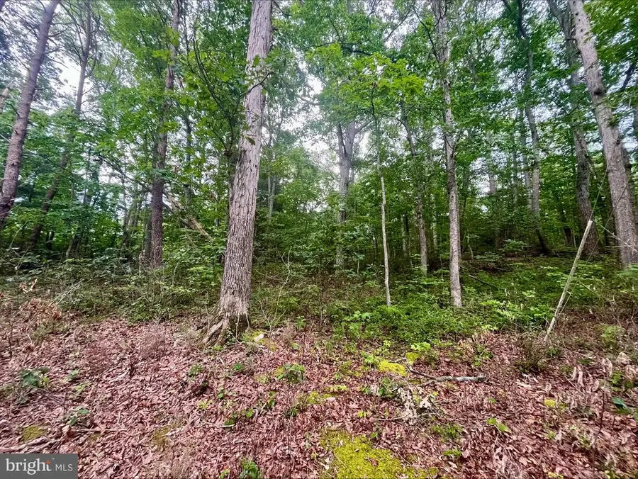 Oak Lane, Luray, VA 22835 - #3