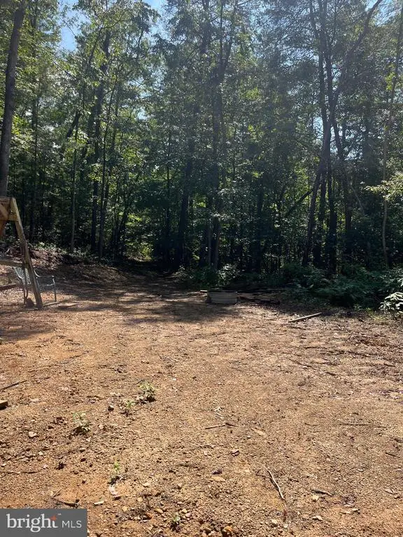 Dry Creek Rd, Luray, VA 22835 - #3