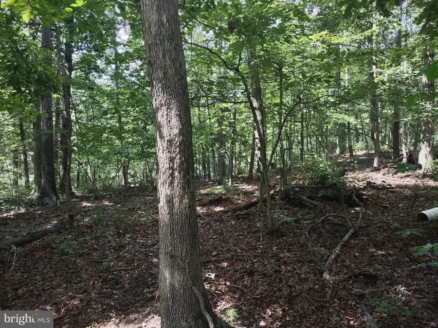 Blevins Road E, Luray, VA 22835 - Image #3