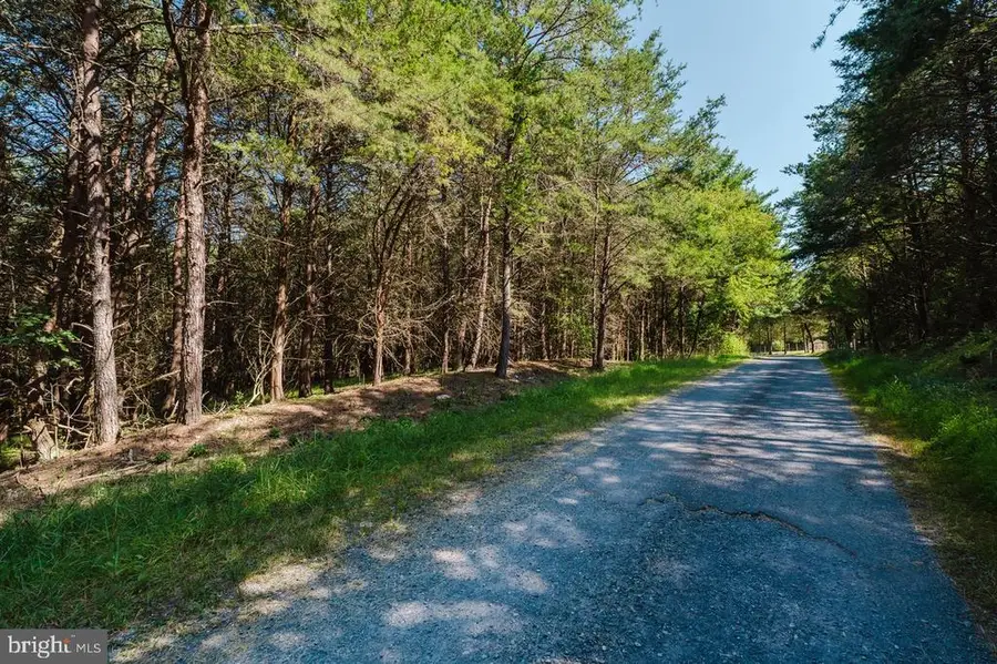 Riverview Road, Luray, VA 22835 - #2