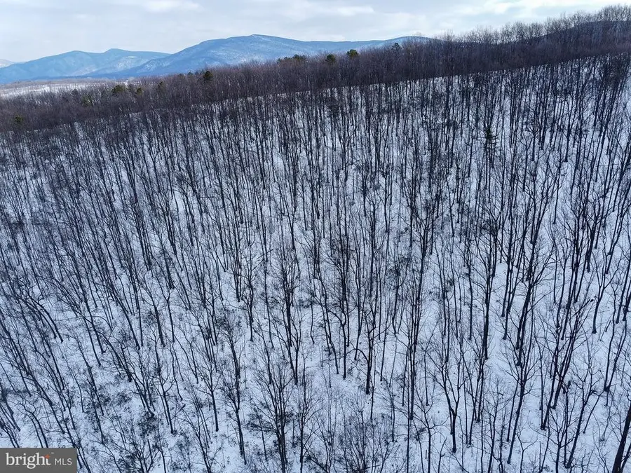 Cubbage Hollow Rd, Lot 75 - 40.55 Acres, Stanley, VA 22851 - #2