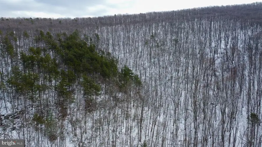 Cubbage Hollow Rd, Lot 75 - 40.55 Acres, Stanley, VA 22851 - #3