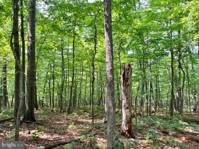 2016 Vaughn Summit Rd, Luray, VA 22835 - Image #3