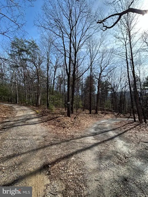 301 Abbotts Ln, Rileyville, VA 22650 - #1