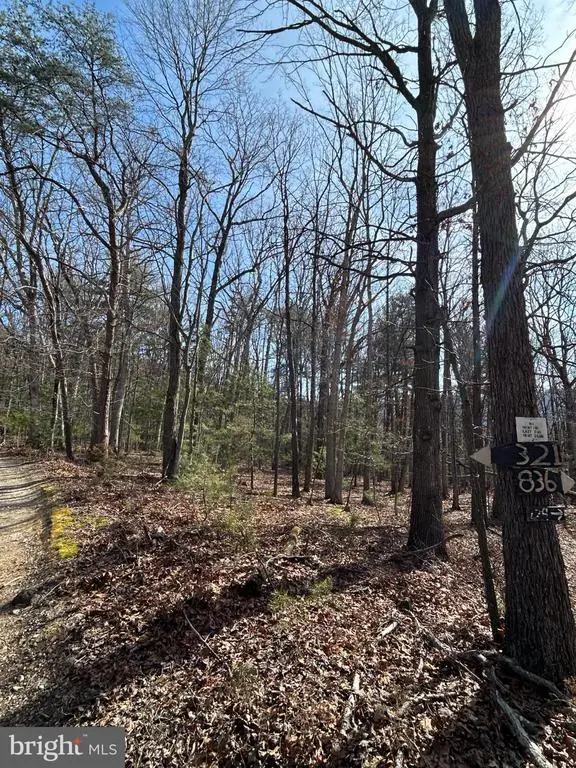 301 Abbotts Ln, Rileyville, VA 22650 - #2