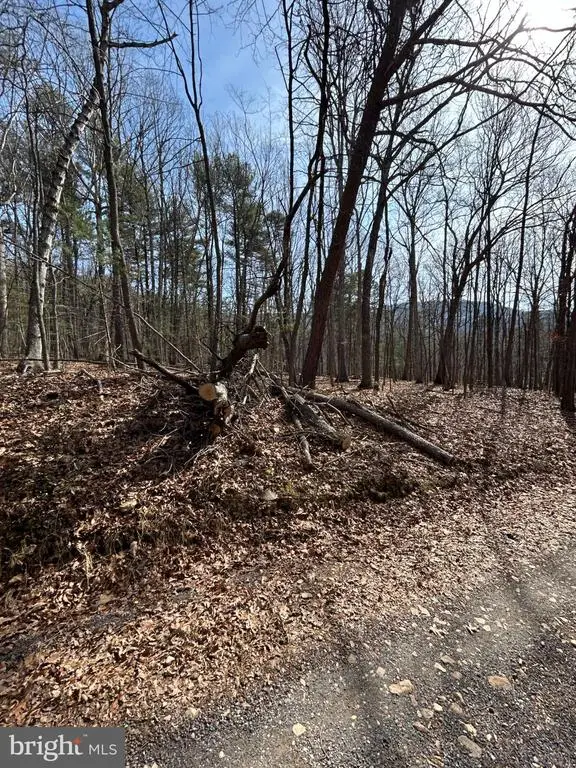 301 Abbotts Ln, Rileyville, VA 22650 - #3