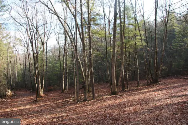 Valley Burg Rd, LURAY, VA 22835