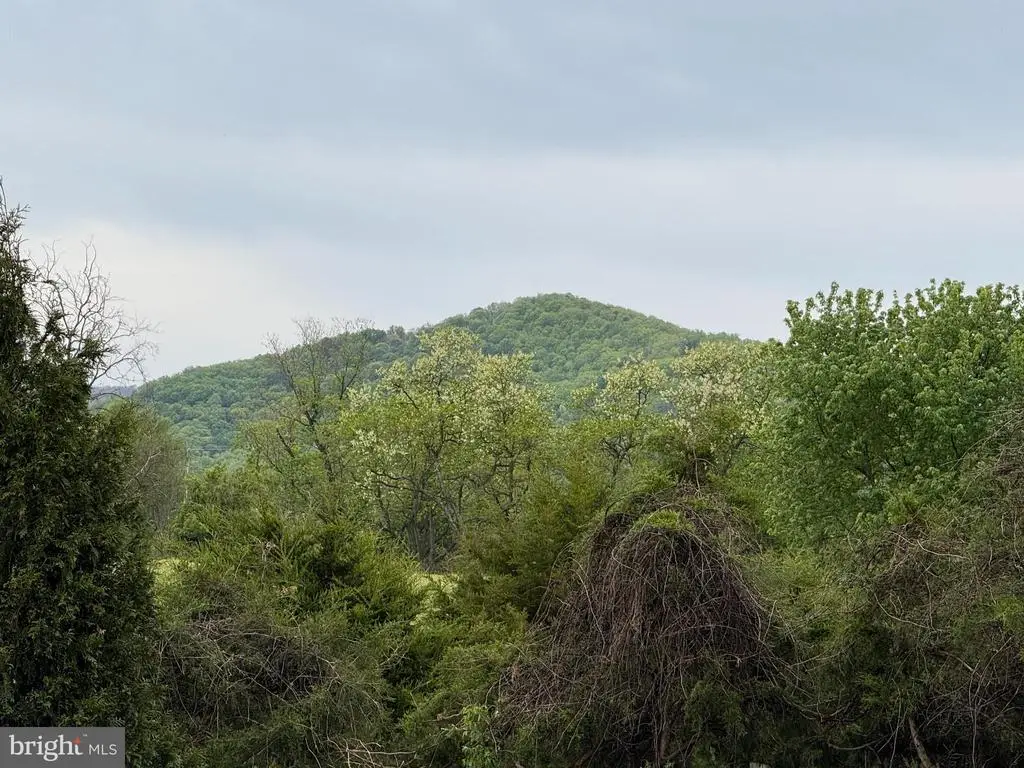 Leola Loop, Stanley, VA 22851 - #1