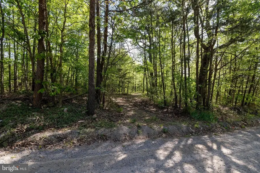 Cross Creek Rd, Luray, VA 22835 - #3