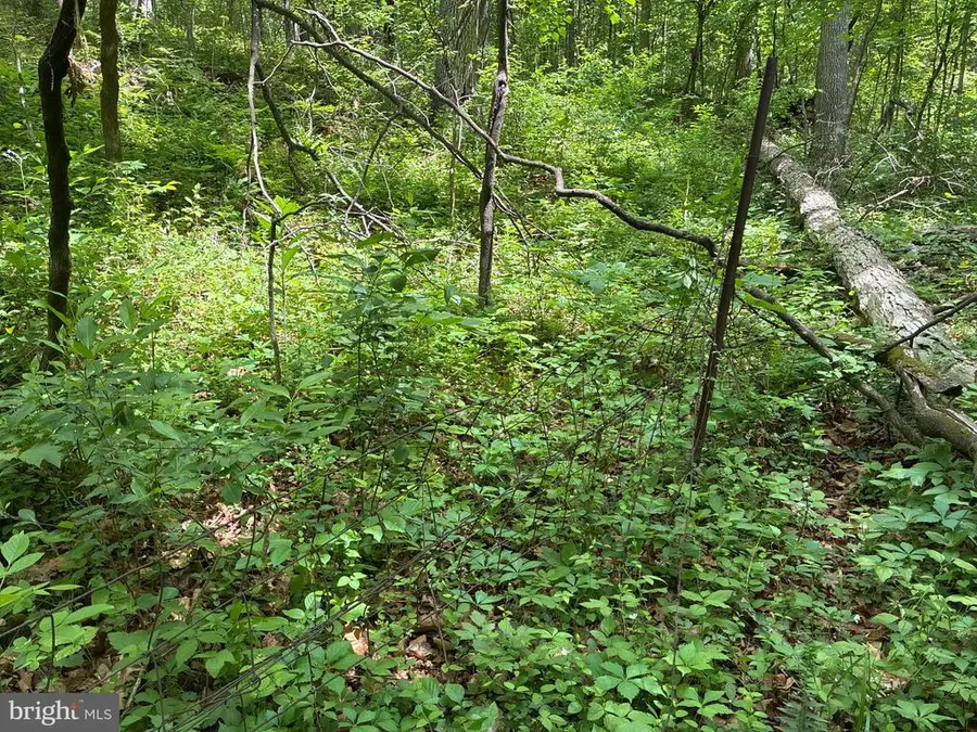 Beylors Ferry, Rileyville, VA 22650 - #2