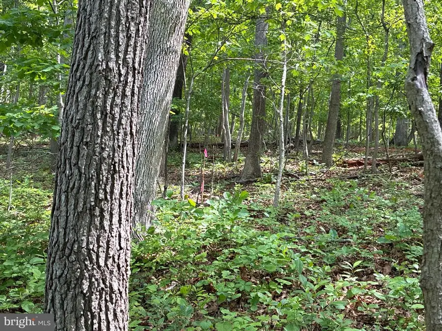 Beylors Ferry, Rileyville, VA 22650 - #3