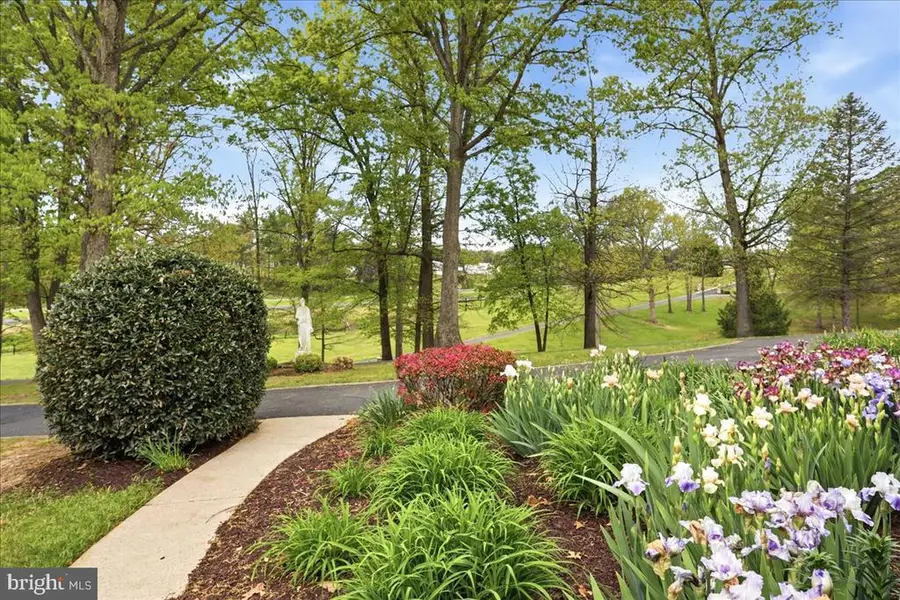 50 Cottage Dr, Luray, VA 22835 - #3