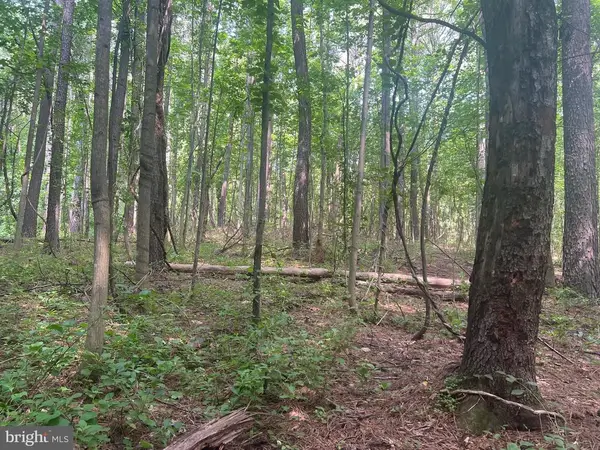 0 Thornton Gap Church Road, SPERRYVILLE, VA 22740