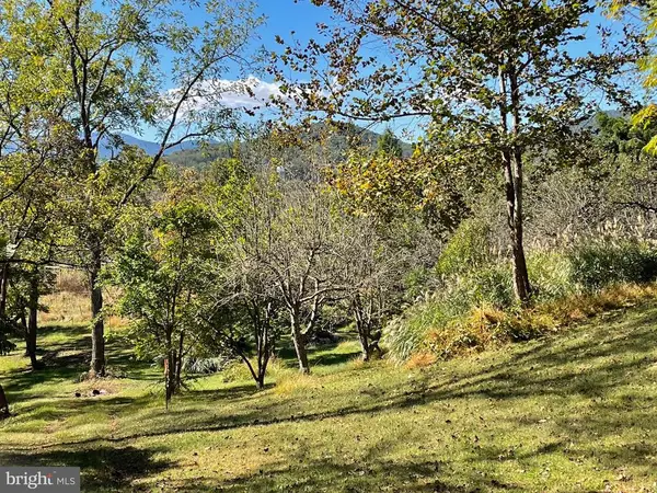 Tiger Valley Rd, WASHINGTON, VA 