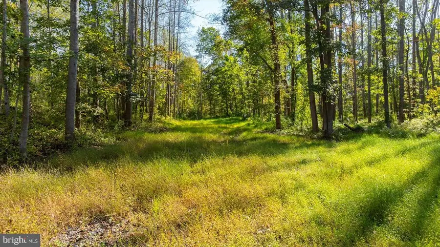 Lee Highway, Amissville, VA 20106 - Image #3