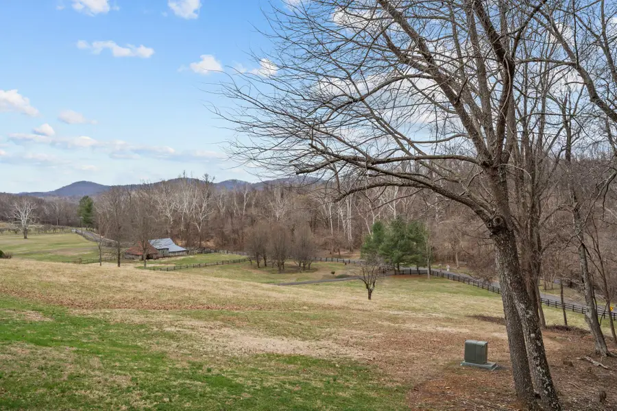 94 Old Hollow Rd, Sperryville, VA 22740 - #2