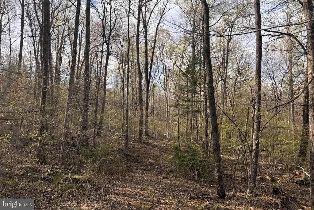 Padua, Sperryville, VA 22740 - #1
