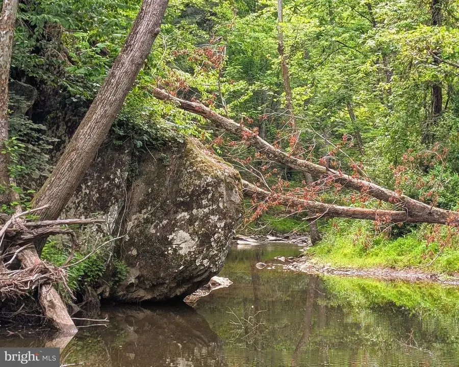 176 Rock Mills Rd, Castleton, VA 22716 - #2