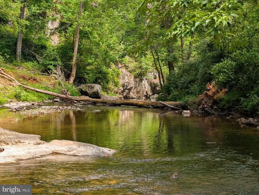 176 Rock Mills Rd, Castleton, VA 22716 - #3
