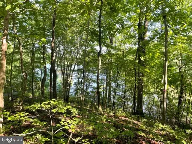 12511 Hawkins Ln, Spotsylvania, VA 22551 - Image #3