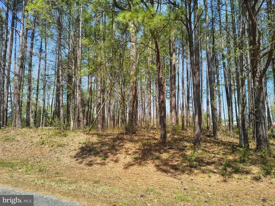 11337 Piney Forest, Bumpass, VA 23024 - #3