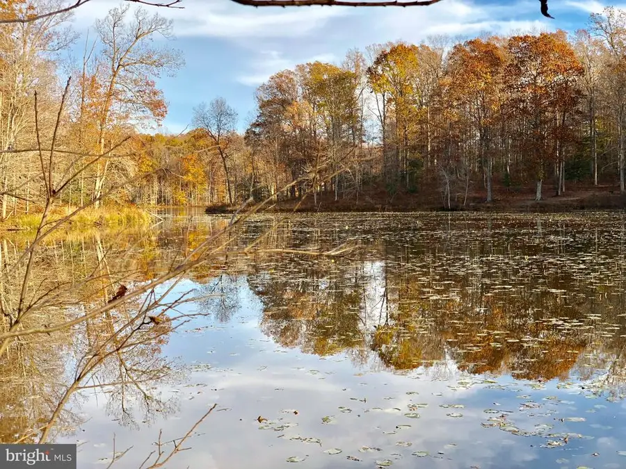 Piney Branch Rd, Spotsylvania, VA 22553 - #2