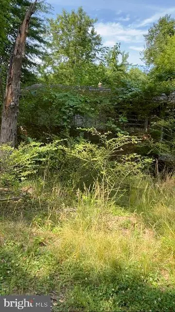 10528 Coles Ln, Fredericksburg, VA 22408 - #2