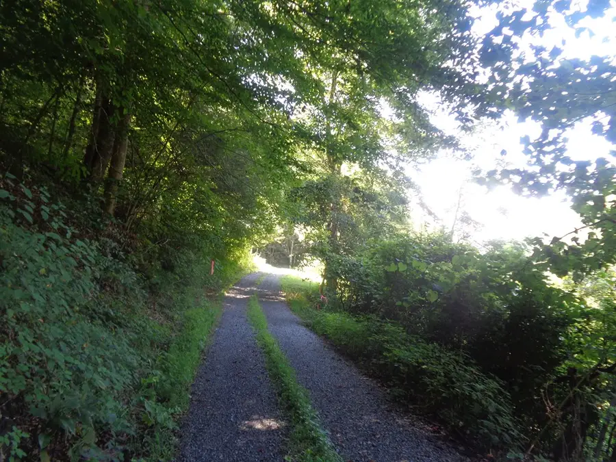 00 Coconut Dr, War, WV 24892 - #3