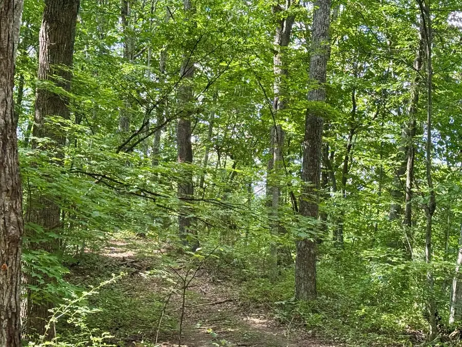 #2