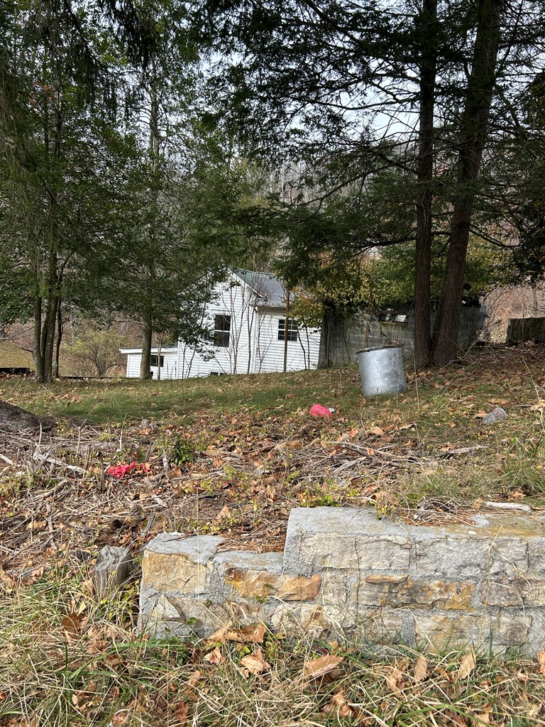 100 McDonald Street, Bluefield, VA 24605 - Image #2