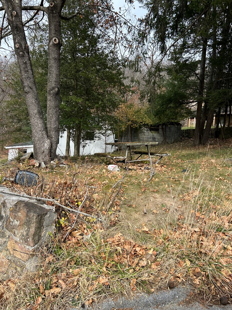 100 McDonald Street, Bluefield, VA 24605 - Image #3