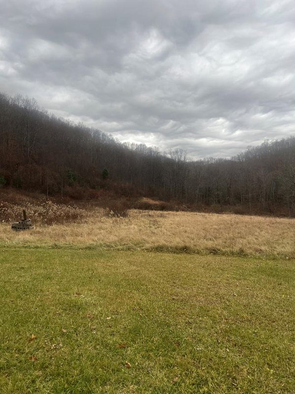 290 Hicks Hollow Rd, ROCK, WV 24747