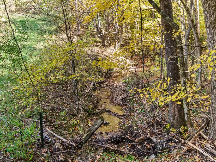 1691 Hales Gap Road, Princeton, WV 24739 - Image #3