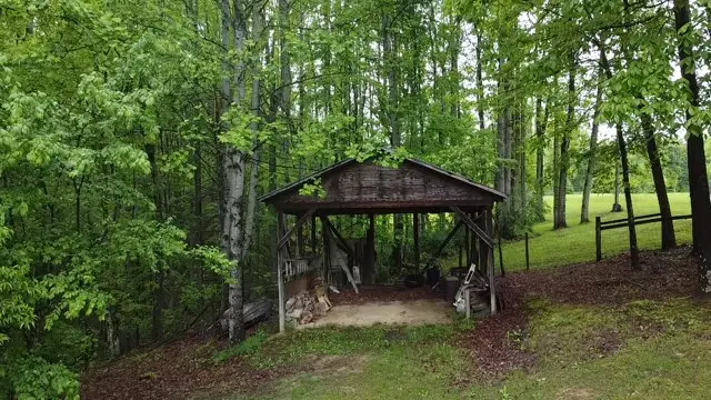 3257 Beeson Rd, Lashmeet, WV 24733 - Image #3