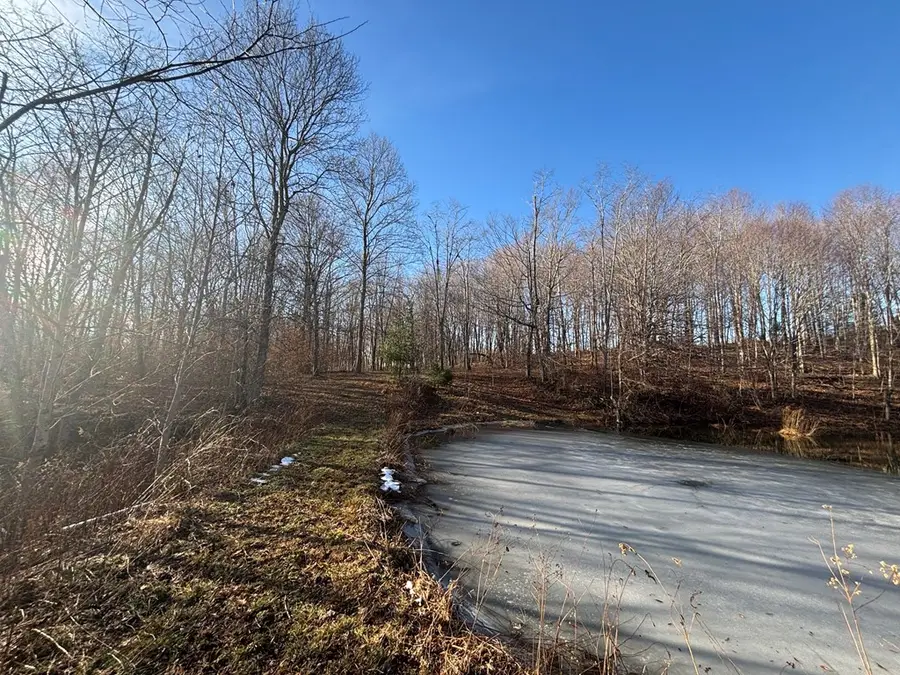 267 Rolling Pasture Rd, Rainelle, WV 25962 - Image #3