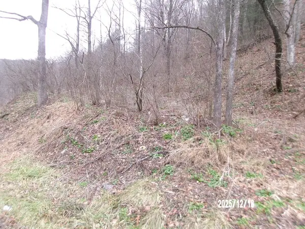 3675 Anawalt Ridge Rd, ANAWALT, WV 24808