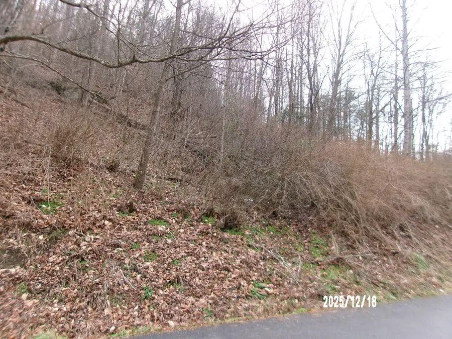 3675 Anawalt Ridge Rd, Anawalt, WV 24808 - #2