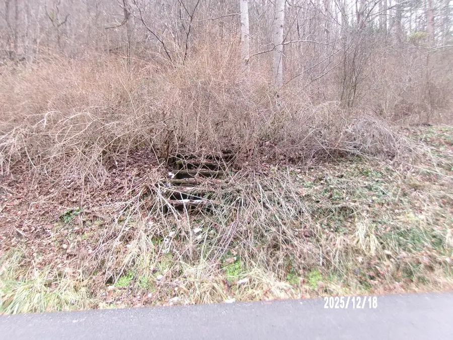 3675 Anawalt Ridge Rd, Anawalt, WV 24808 - #3