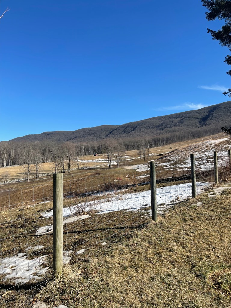 311 Schoolhouse Rd, North Tazewell, VA 24630 - #2