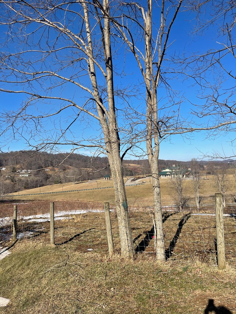 311 Schoolhouse Rd, North Tazewell, VA 24630 - #3