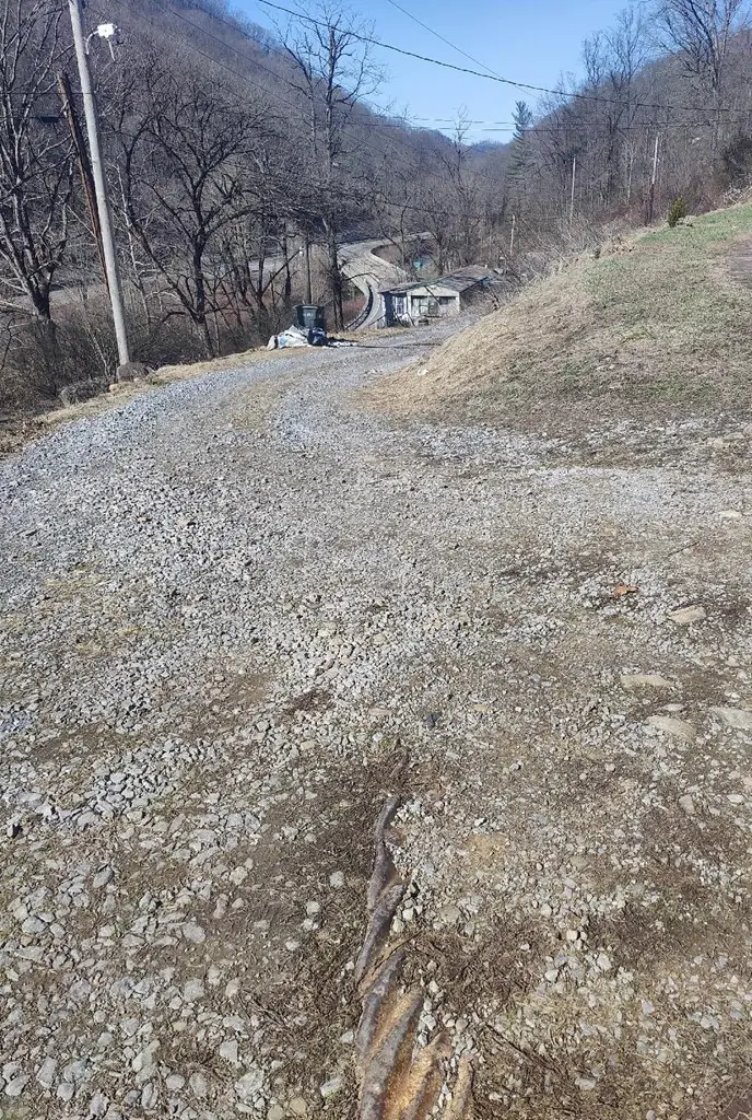 91 Craighead Hill Road, Eckman, WV 24829 - #2