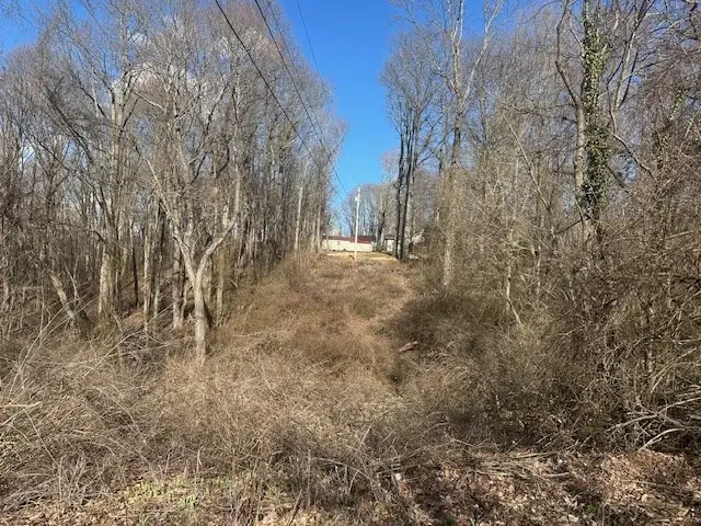 0 Lagrange St, North Tazewell, VA 24630 - #2