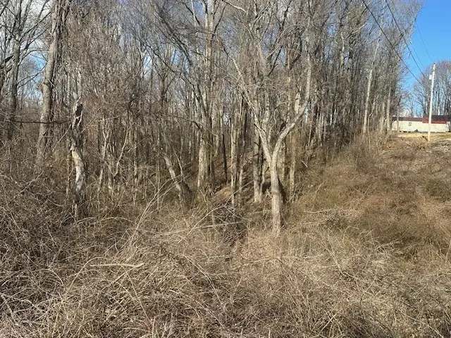 0 Lagrange St, North Tazewell, VA 24630 - #3