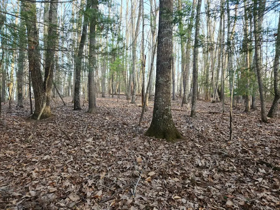 101 Canyon Rim Ct., Pipestem, WV 25979 - #2