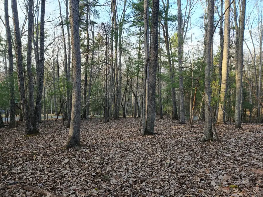 101 Canyon Rim Ct., Pipestem, WV 25979 - #3