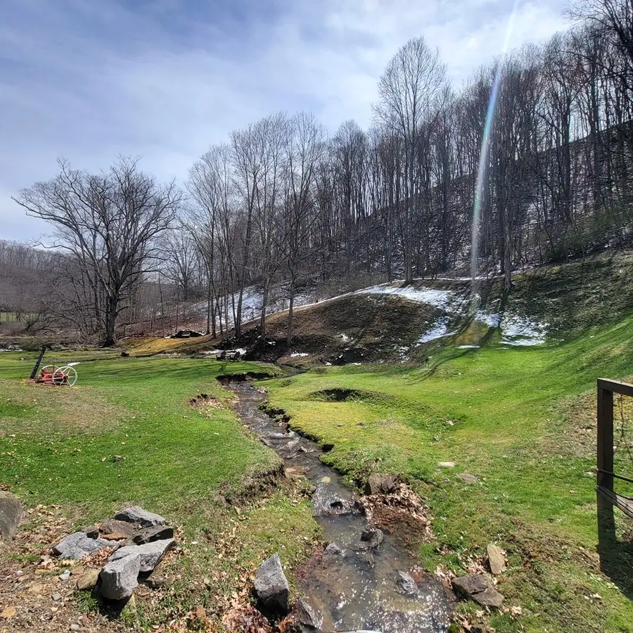 11658 Mud Fork Rd, Falls Mills, VA 24613 - #2